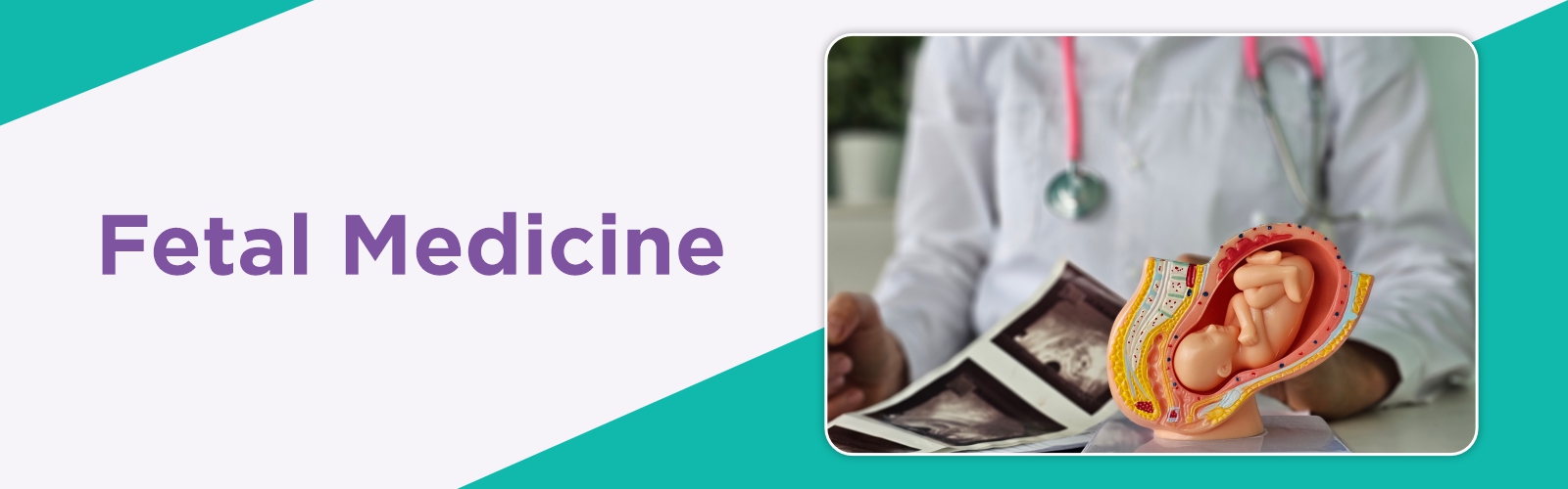 Fetal Medicine