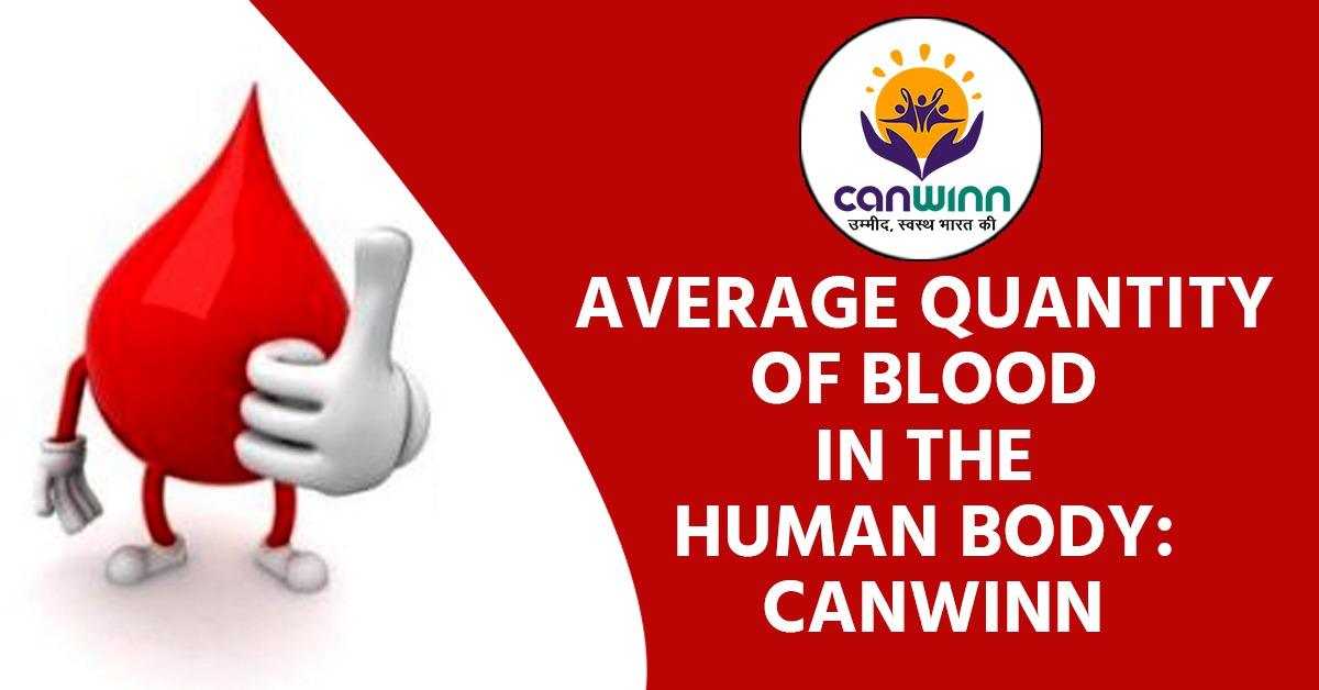 Average Quantity Of Blood In The Human Body Canwinn Canwinn   WhatsApp Image 2020 07 02 At 5.49.55 PM 