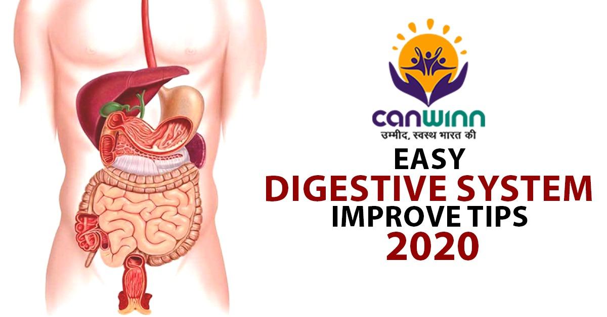 EASY DIGESTIVE SYSTEM IMPROVE TIPS 2020