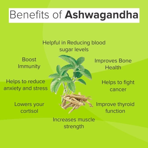 benefits of Ashwagandha Powder
