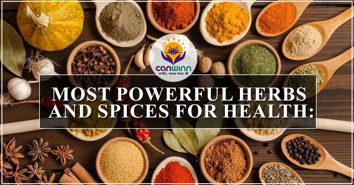Most powerful herbs and spices for health