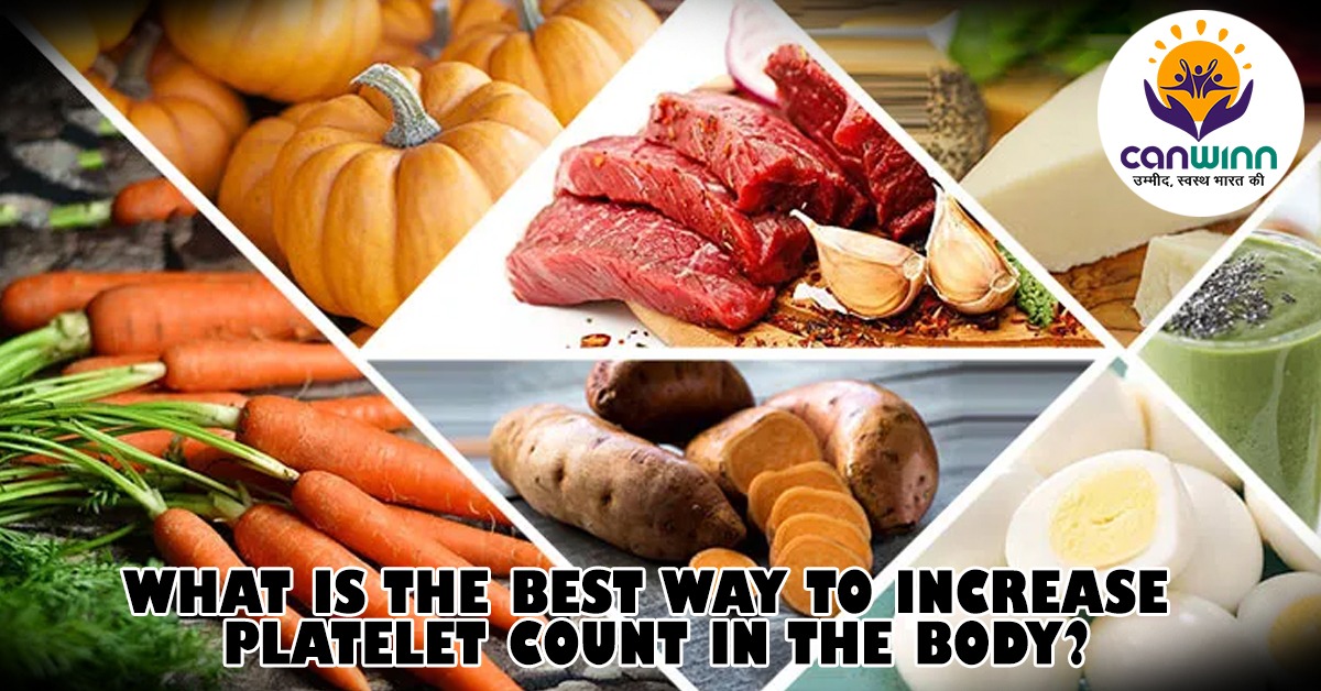 best way to increase platelet count in the Body