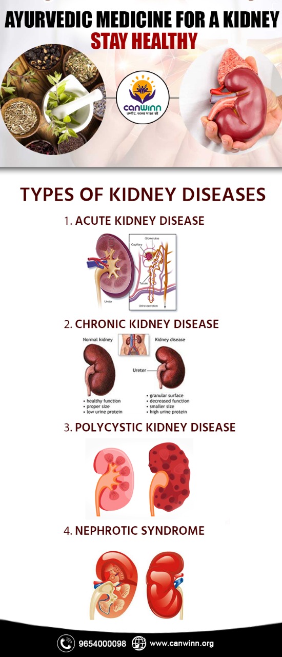 Ayurvedic medicine for a kidney