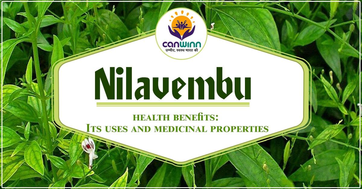 Nilavembu health benefits