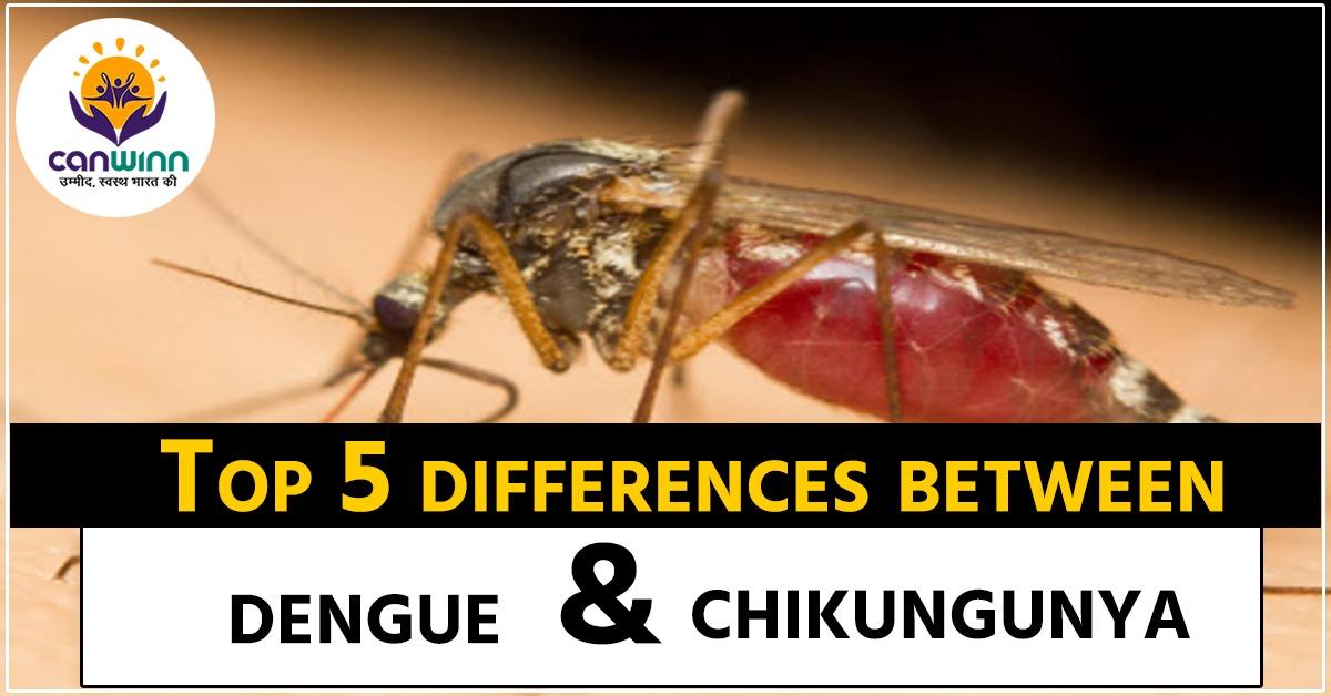 Dengue fever causes, Symptoms, Home remedies