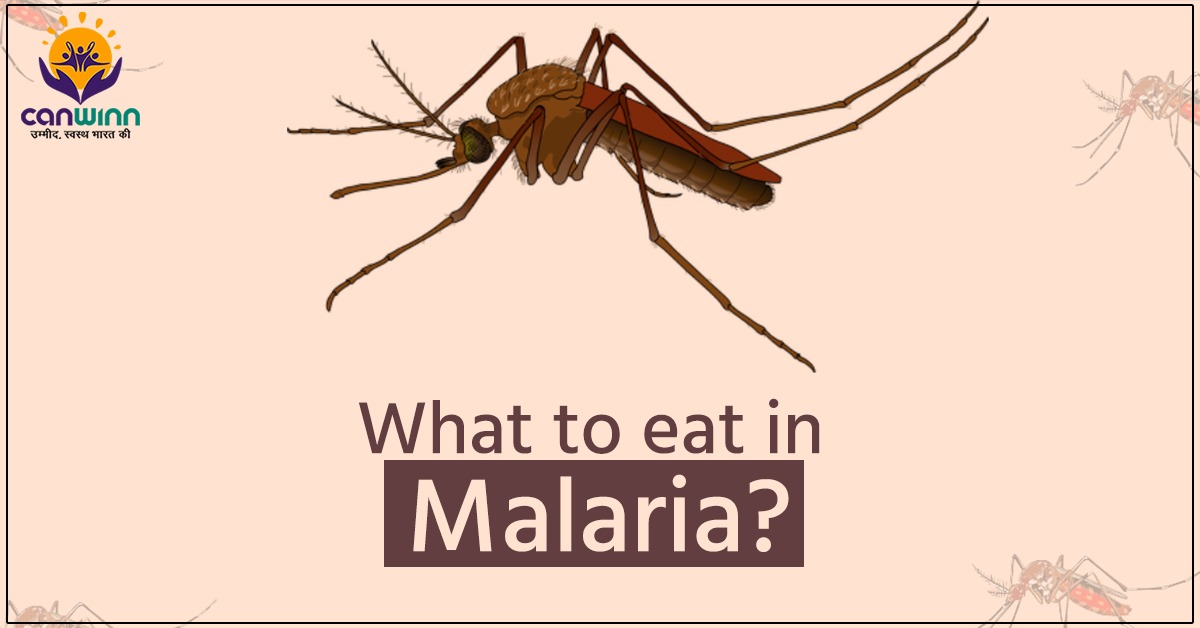 What Food Should Take & Avoid During Malaria