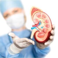 Kidney Failure Disease